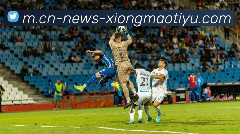 熊猫体育发展历程